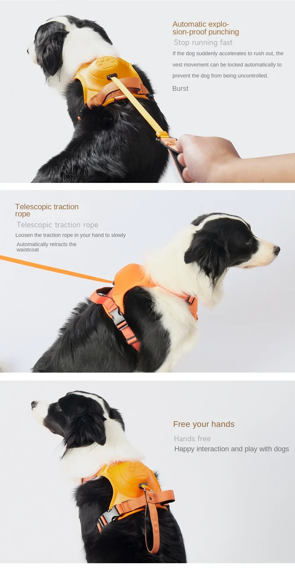 Easy Walk Dog Harnesses with Retractable Dog Leash