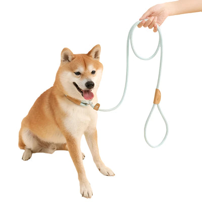 Collier et laisse pour chien Happy Collection P Chain Easy Control Réglable