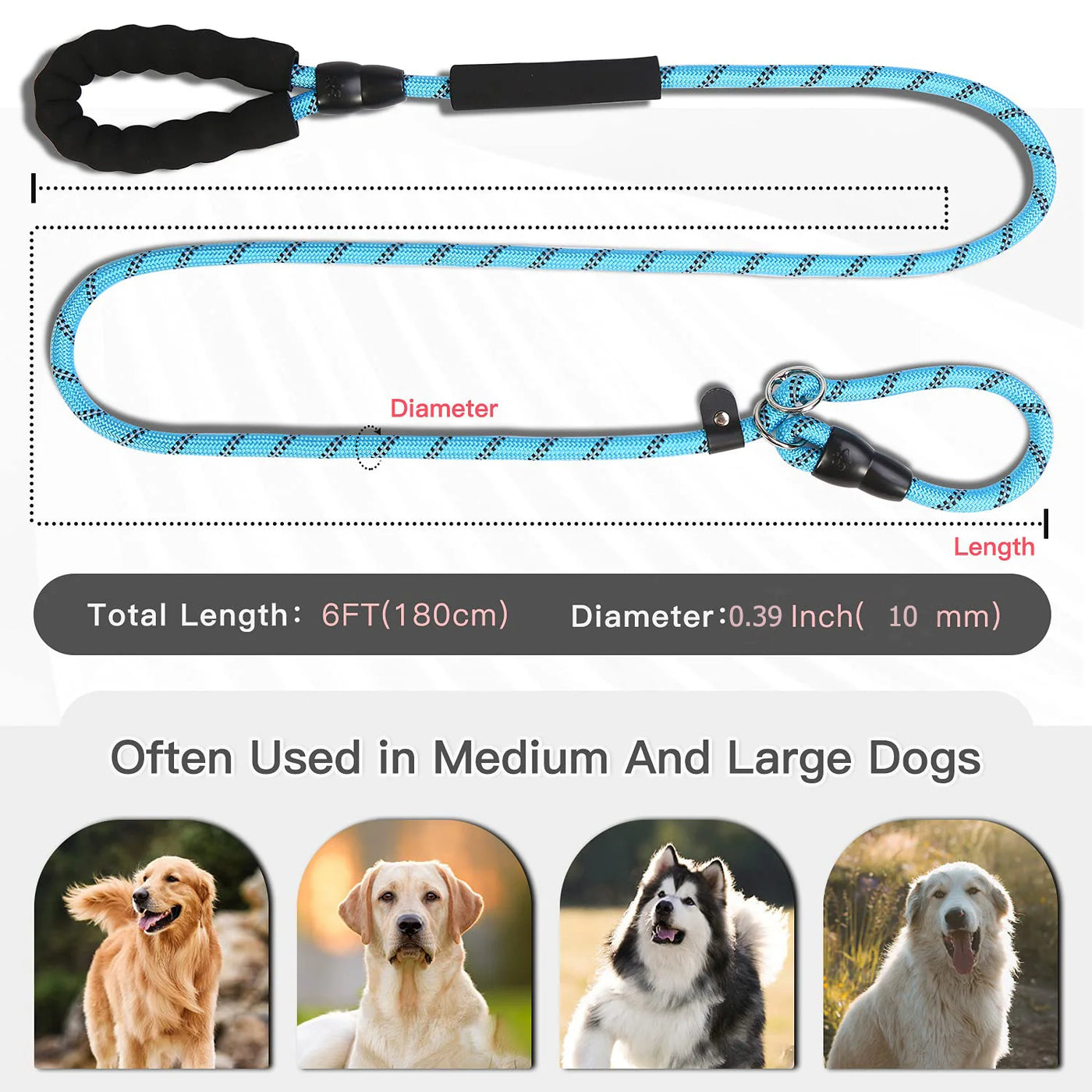 Laisse et collier pour chien antidérapants et réglables, doux au toucher, sans traction