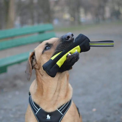 Petit sac à collations pour dressage de chien