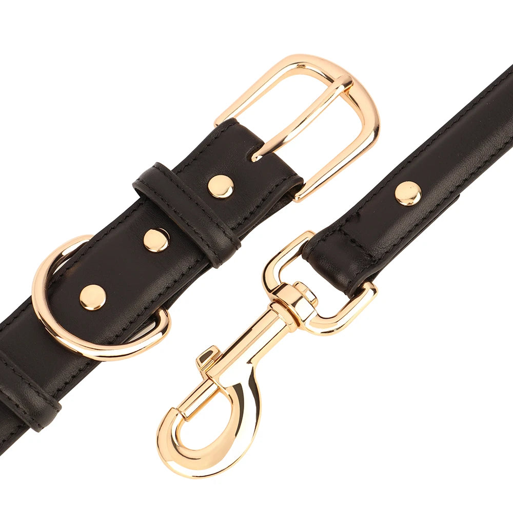 Classic Leather Dog Collar and Leash Set