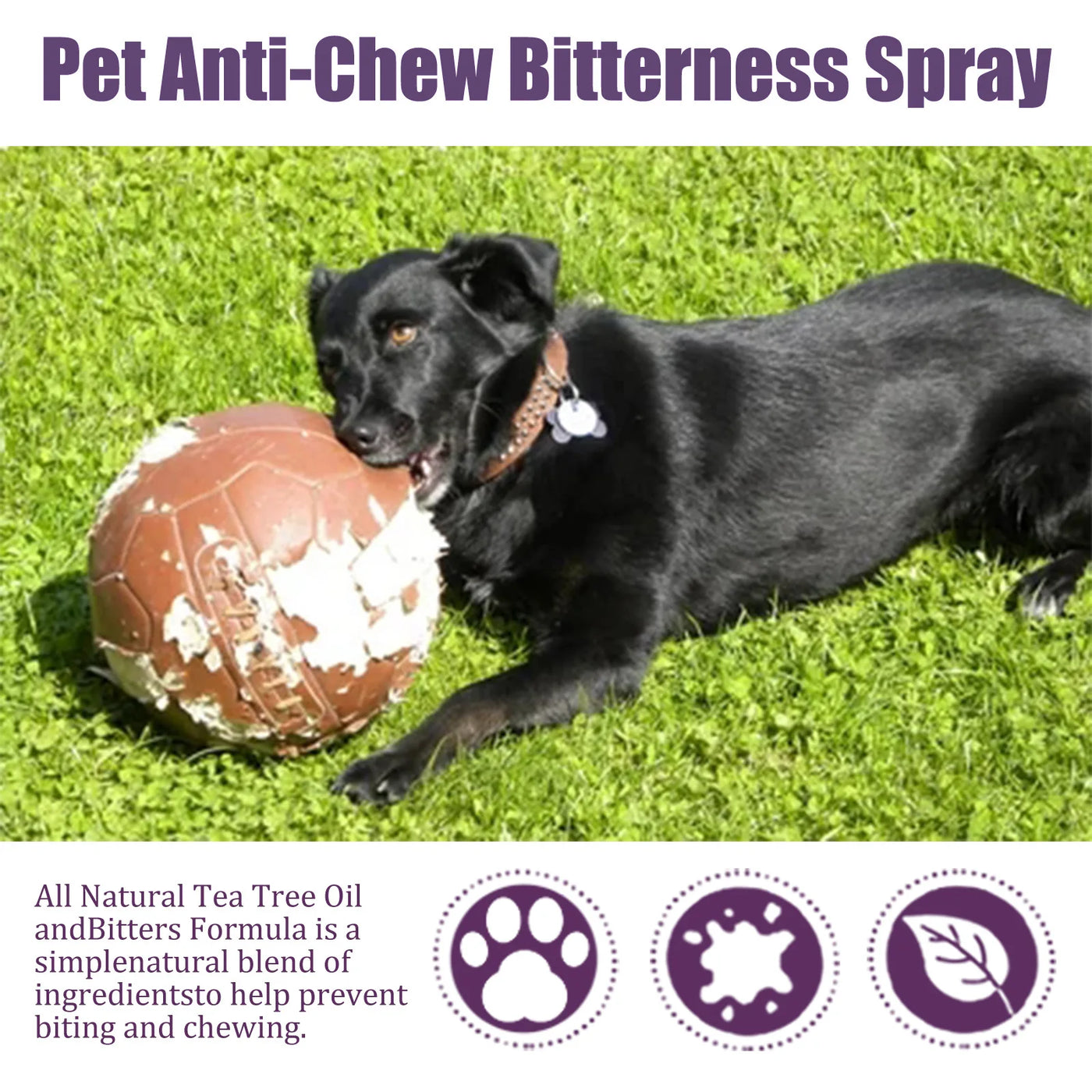 Pet No Chew Spray Bitterkeitspräventionsflüssigkeit