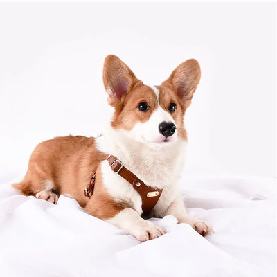 Soft Leather Dog Pet Chest Strap Set