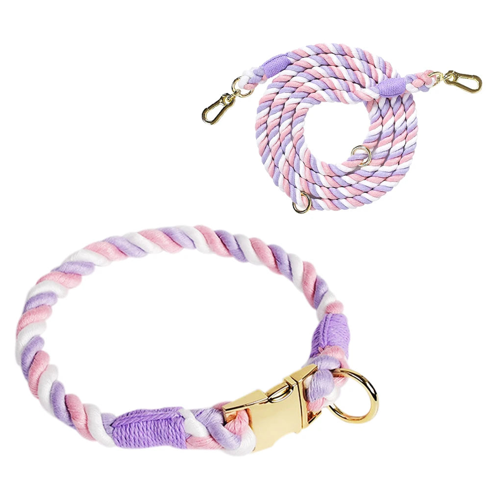 Ensemble collier et laisse pour chien Macaron