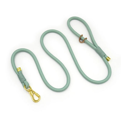 Classy Mint Soft Leather Dog Colar & Leash Set