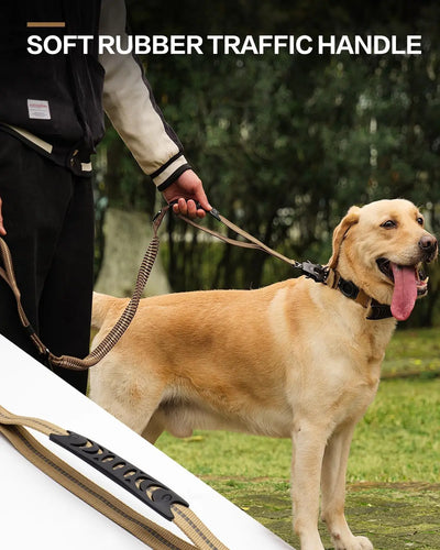 Laisse de voiture ultra résistante 2 en 1 pour chien