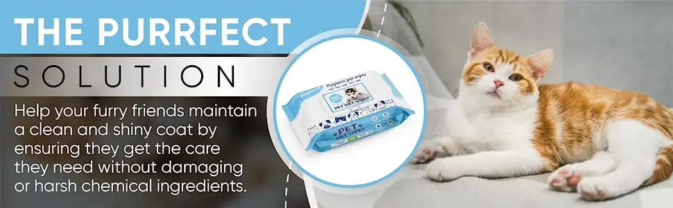 Sensitive Cleaning and Wipes for Paws, Body and Butt Dog Wipes