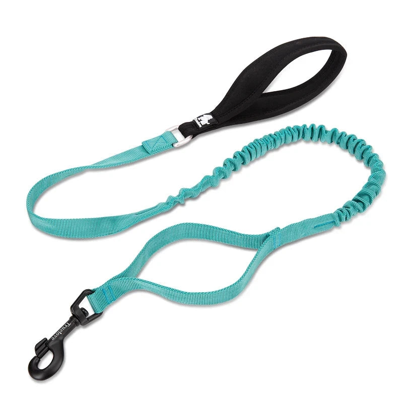 Comfort Touch Bungee Dog Leash