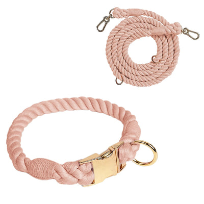 Ensemble collier et laisse pour chien Macaron