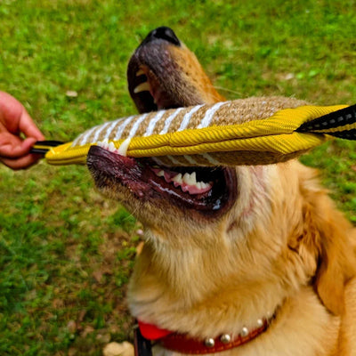 Kauspielzeug für Hunde zum Aufheben