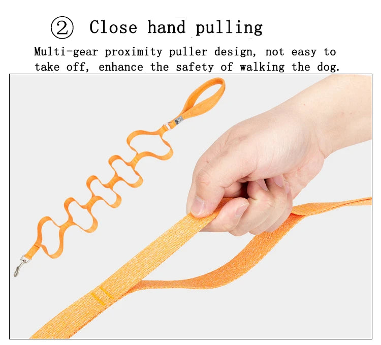 Comfort Touch Elegant Dog Leash