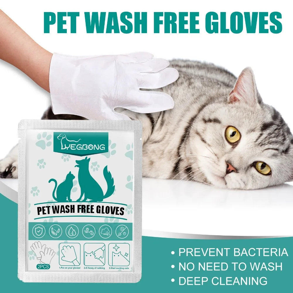 Gants de nettoyage jetables pour animaux de compagnie, sans lavage ni rinçage