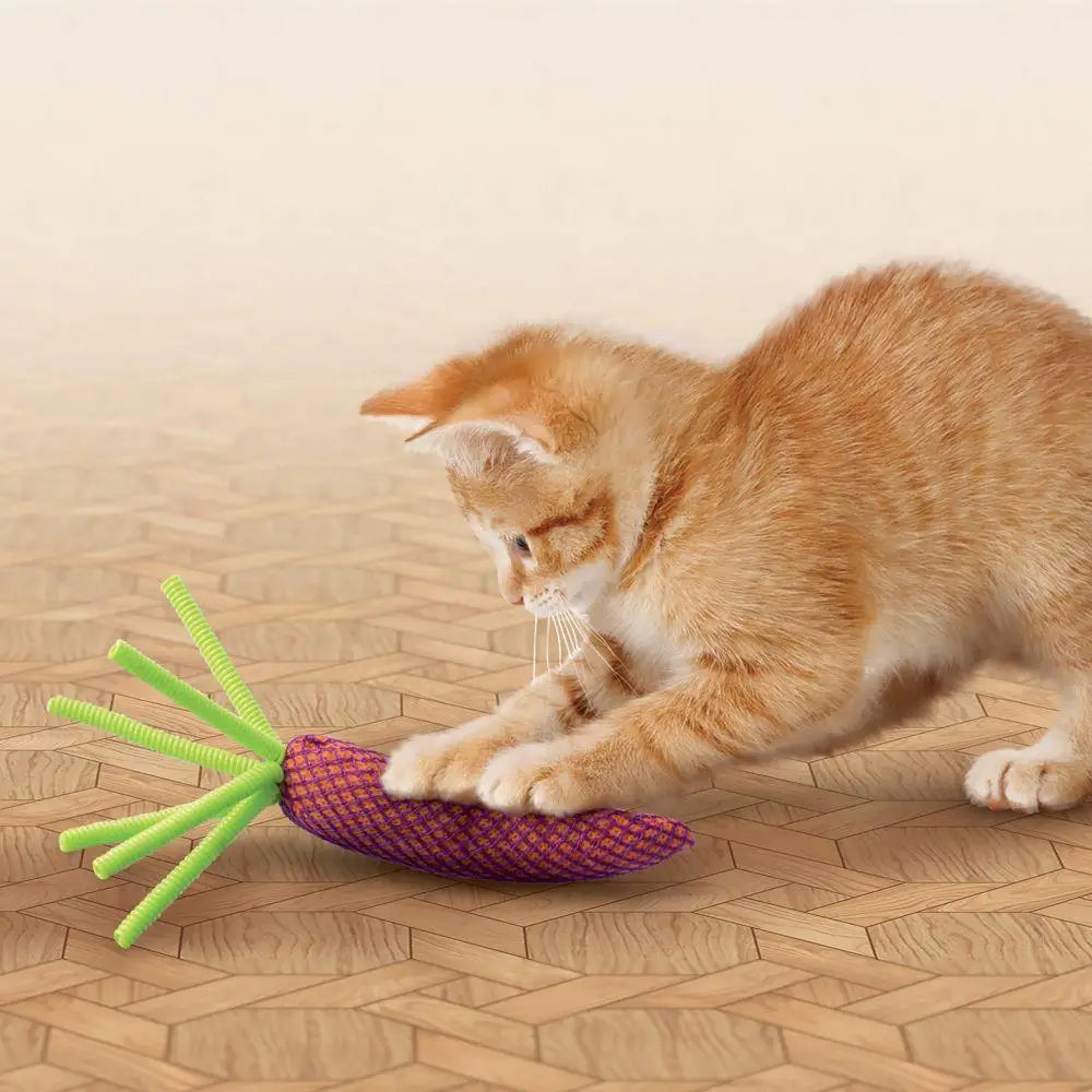 KONG Nibble Carrots Cat Interactive Toy