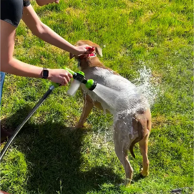 Pistolet de pulvérisation haute pression pour chien, tuyau de douche, 3 modes