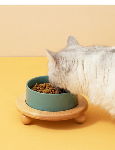 Ceramic  Food Water Bowl Elevated Pet Bowl