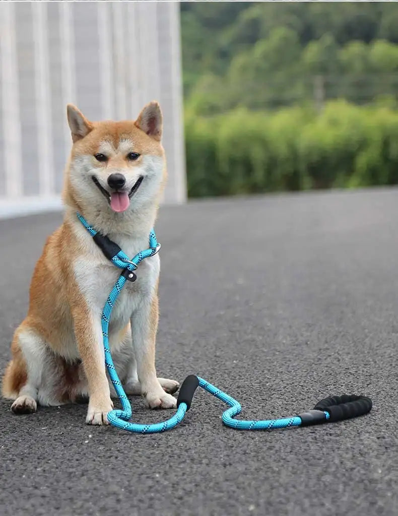 Soft Touch Adjustable Anti-slip No-pull Dog Leash & Collar