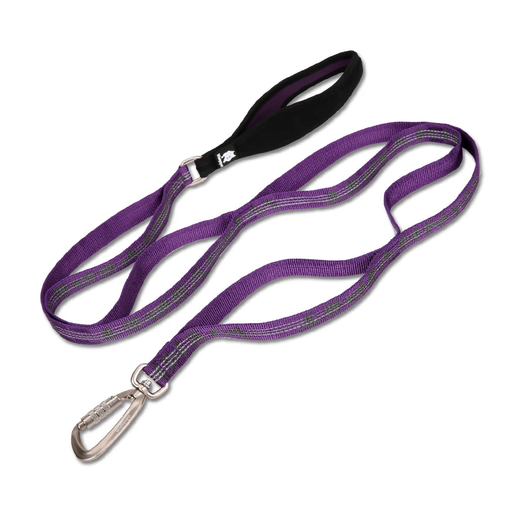 Comfort Touch No Pull 3M Reflective Dog Leash