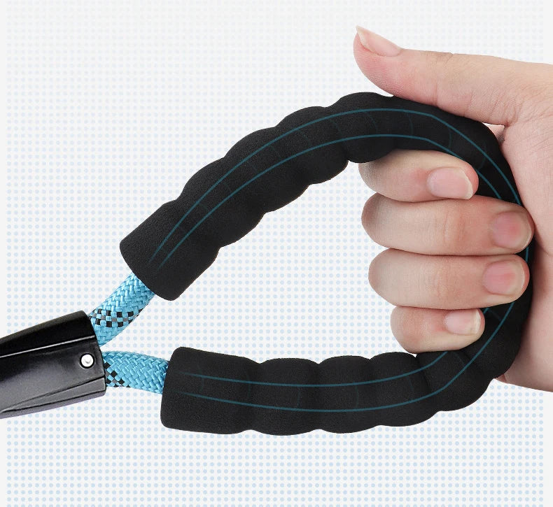 Ultra Soft P Chain Dog Leash & Collar One-Piece