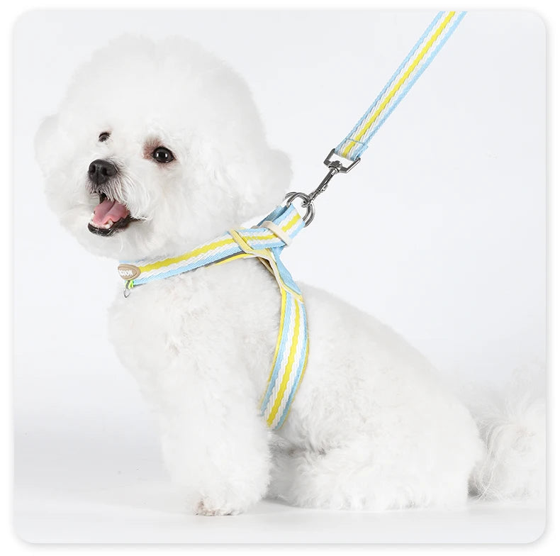 Soft Touch Strong Durable Vest Dog Harness and Leash Set