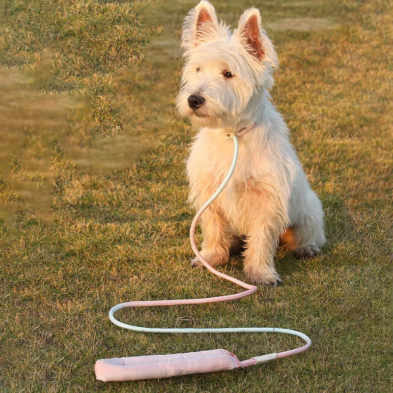 Laisse et collier pour chien Cloud Comfort en une seule pièce réglable