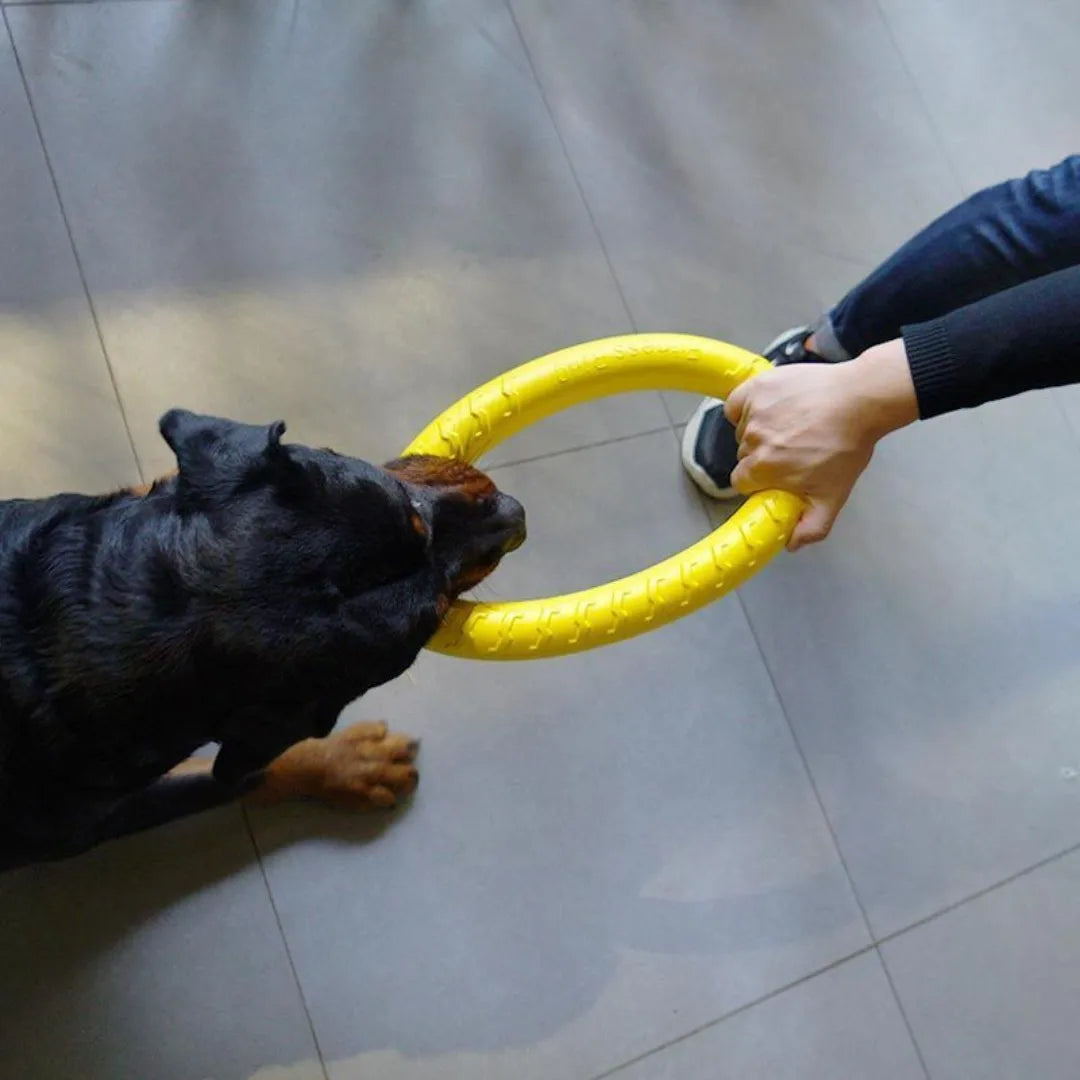 Anneau pour chien indestructible à mâcher volant flottant entraînement