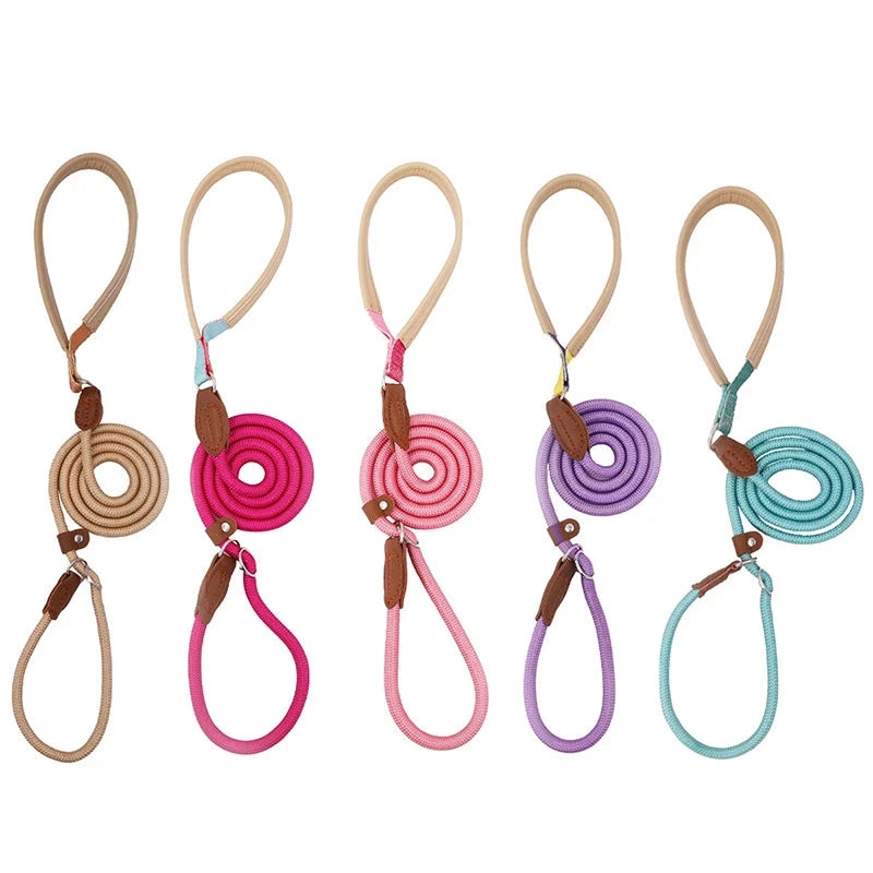 Candy Collection P Chain Dog Training Leash Collar Anti-Choking