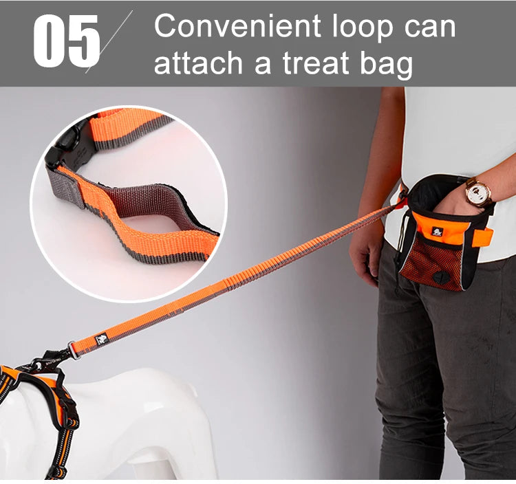 Running Bungee Leash Hands Free Dog Leash