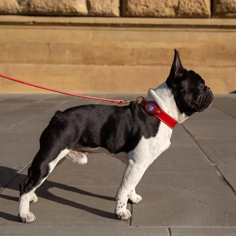 Anti-Verlust-Apple Airtag Tracker Hundehalsband