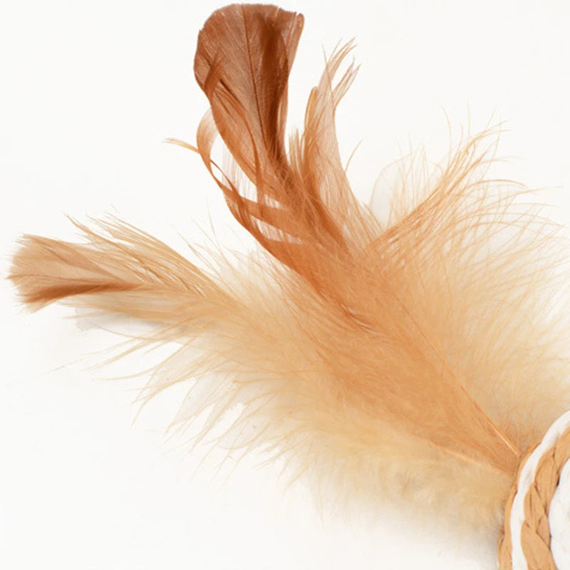 Cat Sisal Feather Chewing Rattle Scratch Catch Toy