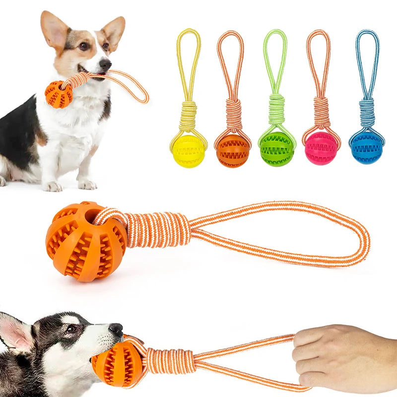 Balles de friandises pour animaux de compagnie avec corde, jouet interactif