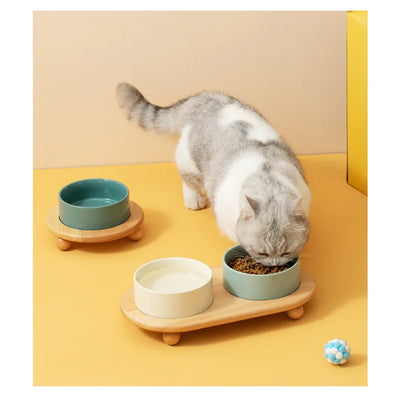 Ceramic  Food Water Bowl Elevated Pet Bowl