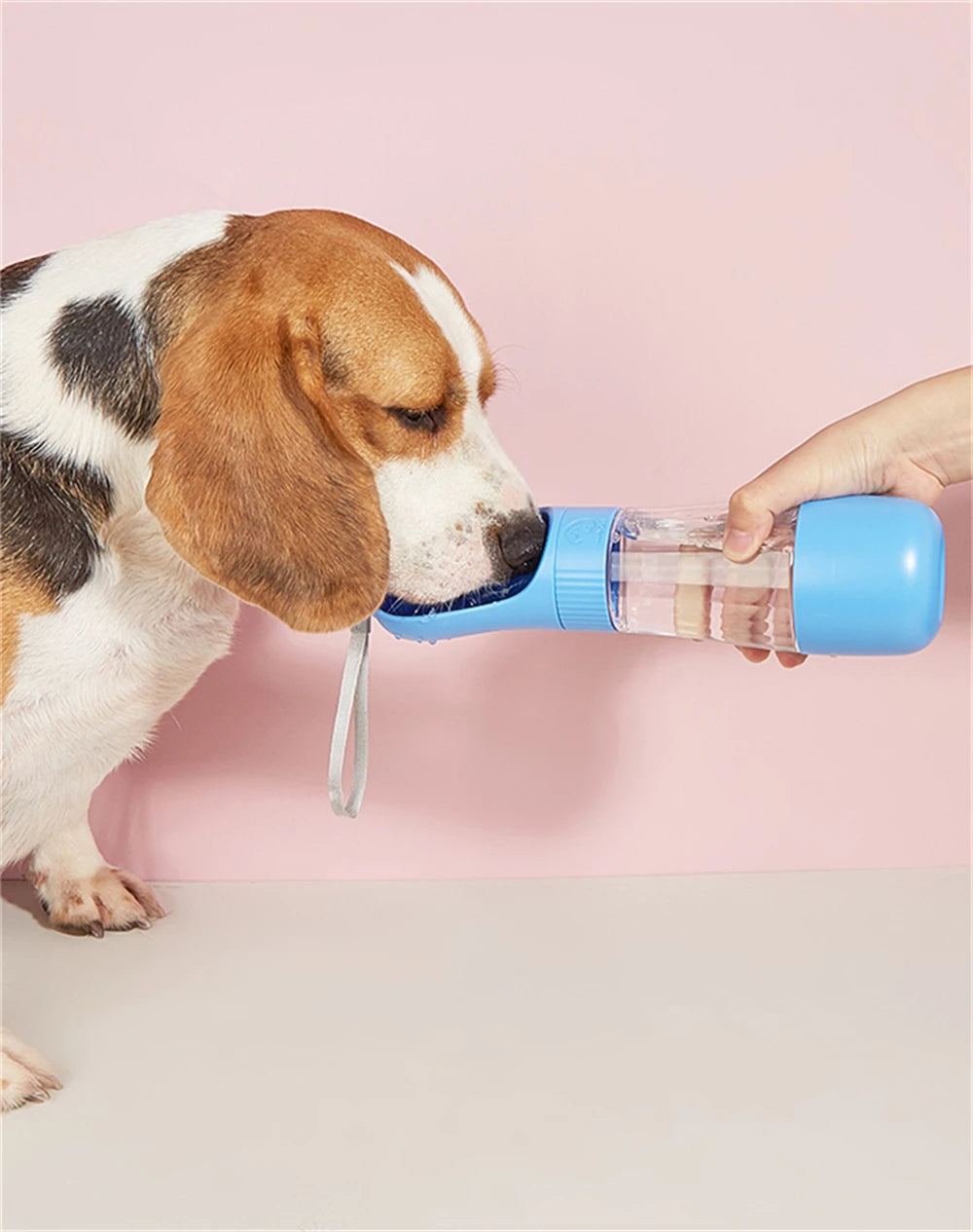 Tragbare 3-in-1-Hundefutter- und Wasserflasche