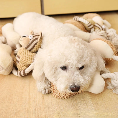 Jouet en corde de coton pour animaux de compagnie