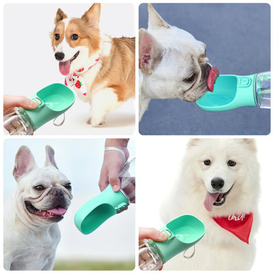 Bouteille d'eau portable pour chien