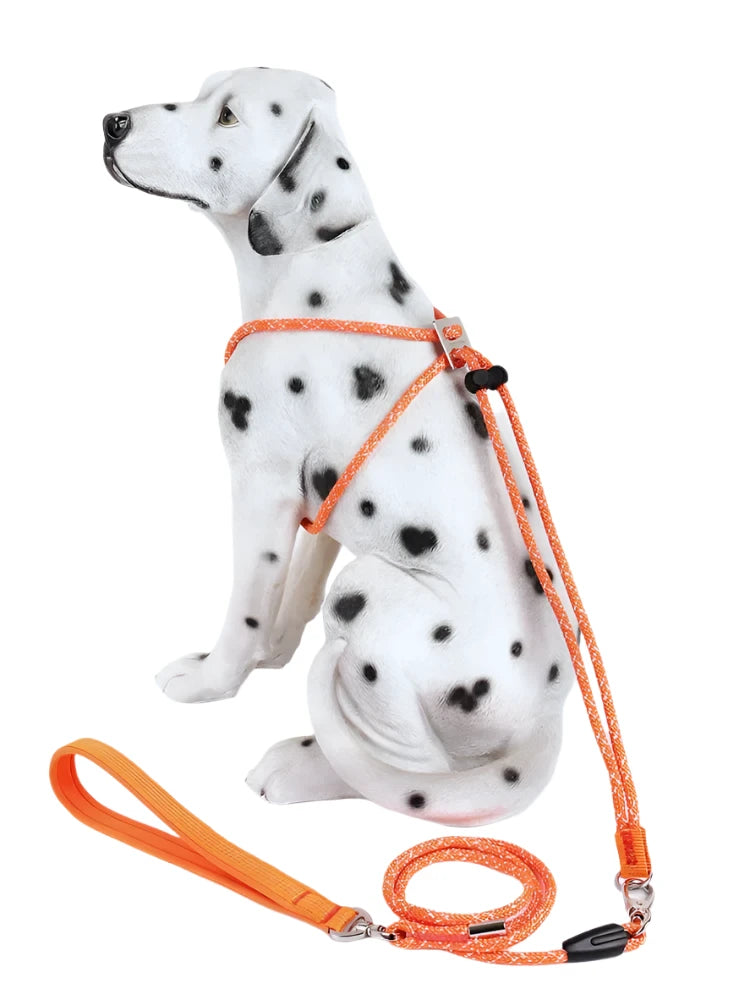 Anti-Break-Free 2in1 Dog Harness Leash