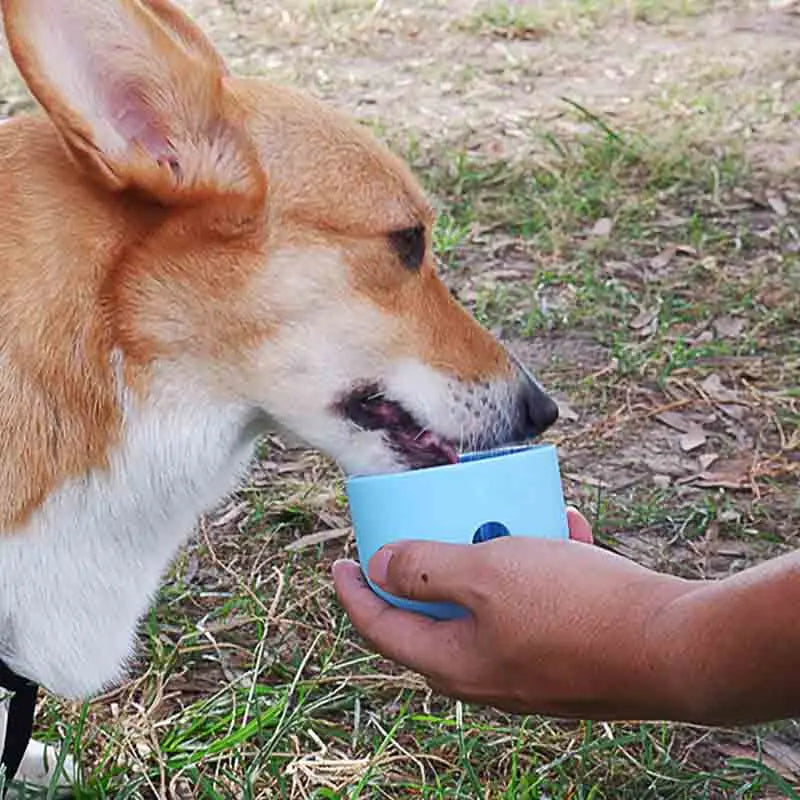 Interactive Toy for Dog  Leaking Ball Slow Feeder Bowl