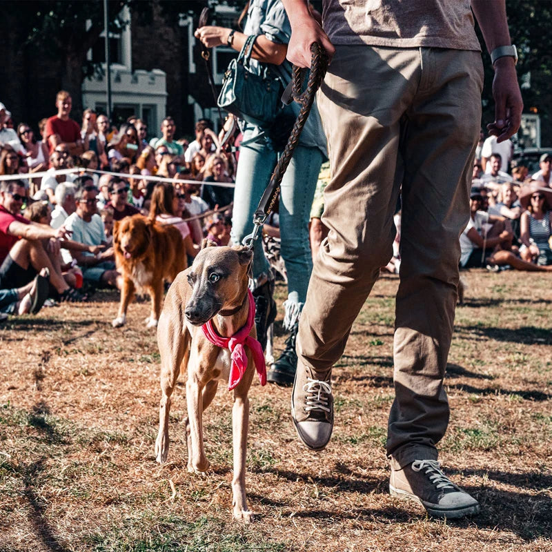 Laisse pour chien en cuir tressé durable en cuir de vache