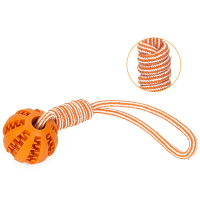 Pet Treat Balls with Rope Interactive Ball Toy