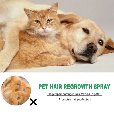 Pet Hair Regrowth Liquid Hair Loss Treatment