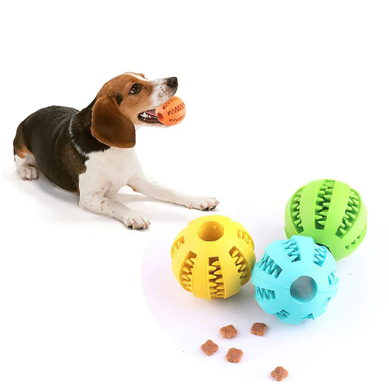 Balle à friandises pour chien