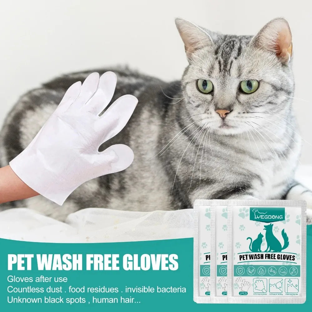 Gants de nettoyage jetables pour animaux de compagnie, sans lavage ni rinçage