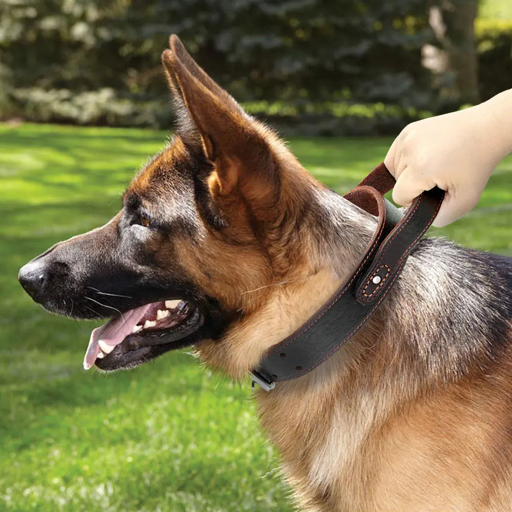 Super Control  Leather Dog Collar Durable Short Handle