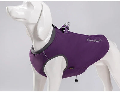 Combinaison gilet et harnais pour chien haute performance pour temps pluvieux