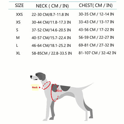 Weiche Hundeweste aus der Joy Collection