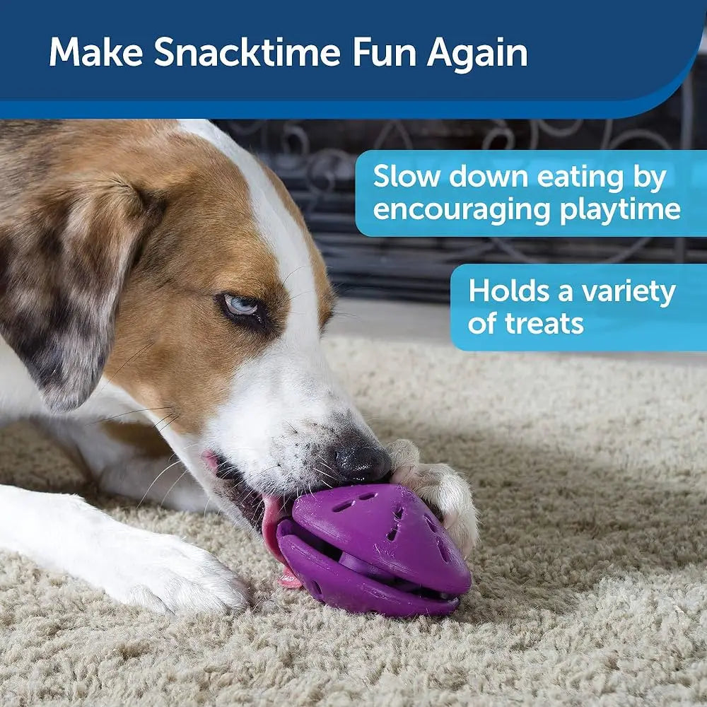 Petsafe Busy Buddy Twist 'n Treat Dispensing Dog Toy