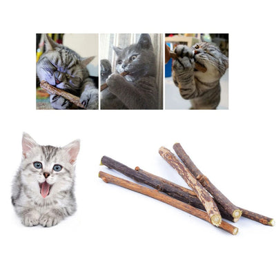 Silvervine Sticks für Katzen Natürliche Kausticks mit Katzenminze