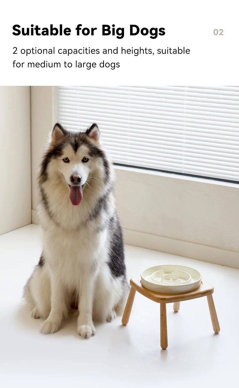 Gamelle en céramique pour chien et eau - Mangeoire lente pour animaux de compagnie