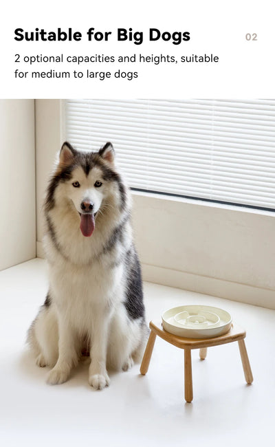 Gamelle en céramique pour chien et eau - Mangeoire lente pour animaux de compagnie