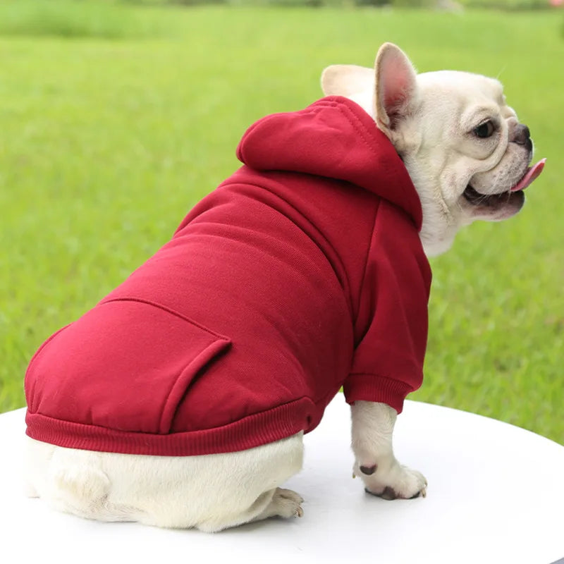 Sweats à capuche chauds pour chiens avec poches