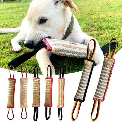 Pick Up Dog Chew Training Toys